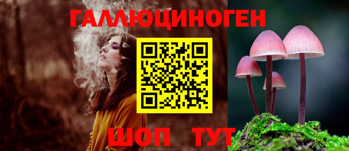 Псилоцибиновые грибы Psilocybe Ачинск